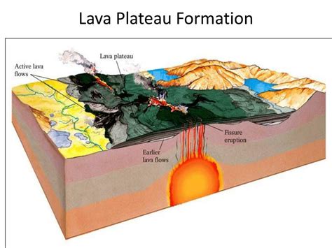 PPT - Primary Structures PowerPoint Presentation, free download - ID ...