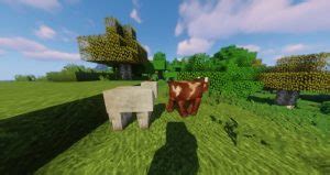 Clarity Texture Pack 1.16.4 → 1.11 • Resource Packs