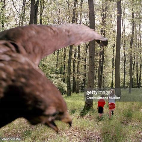 The Vulture And The Little Girl Photos and Premium High Res Pictures ...