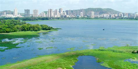 Powai Lake Mumbai (History, Entry Fee, Images, Built by & Information) - Mumbai Tourism