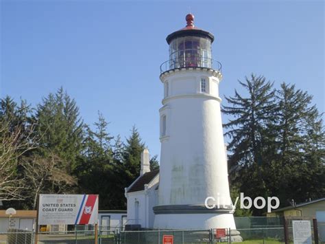 10 BEST Things to Do at Umpqua Lighthouse