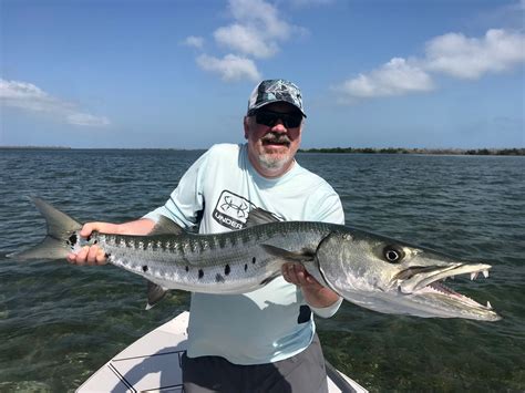 48” Barracuda - March 2020 | Hunting fishing, Fish, Florida