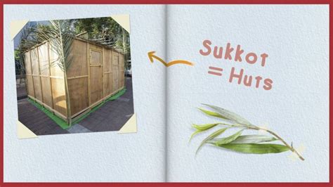 Sukkot: What is it and how do people celebrate the Jewish harvest festival? - BBC Newsround