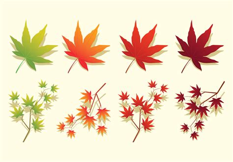 Japanese Maple Leaves Icons 159181 Vector Art at Vecteezy