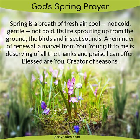 Prayer: God's Spring - Prayables