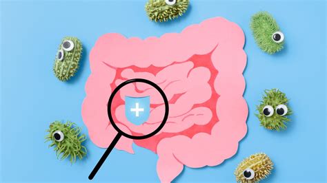 Stomach Parasites in Humans - ECOTON