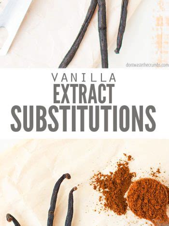 15 Vanilla Extract Substitutes - Don't Waste the Crumbs