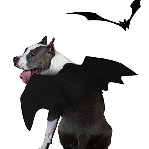 Scary Dog Costumes | 7 Scary Dog Costumes for Your Spooky Pooch