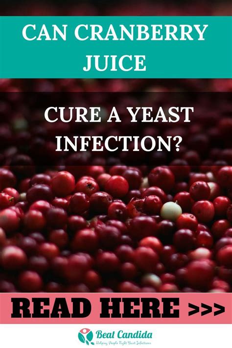 Can cranberry juice prevent and treat BV, yeast infection and UTI? What's the best cranberry ...