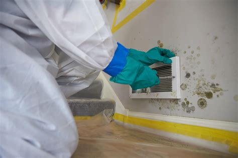 The Mold Remediation Process | Lone Star Pro Services