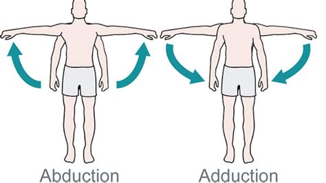 What’s the Difference Between Abduction and Adduction? (Biomechanics ...