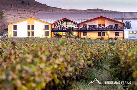 Sula Vineyard Tour | Treks and Trails India