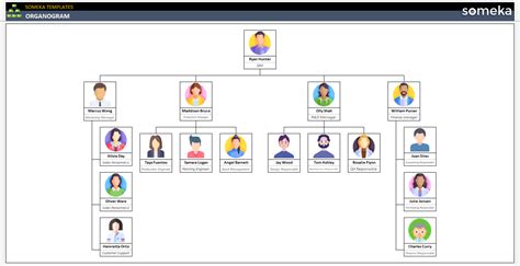 Organogram | Free Download Editable Template