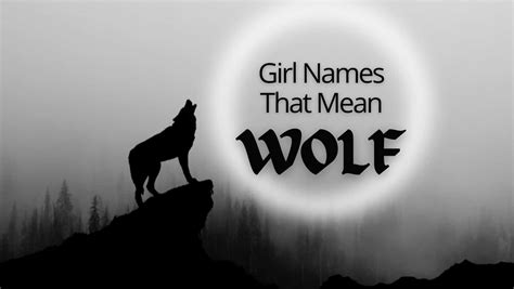 Girl Names That Mean Wolf – Moms Who Think