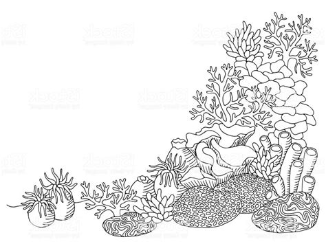 Coral Line Drawing at PaintingValley.com | Explore collection of Coral Line Drawing