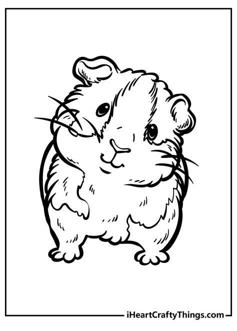 Guinea Pig Coloring Pages For Children