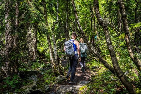 Dombay, Russia 26 July 2020: Group of People Go Hiking in Wooded and ...