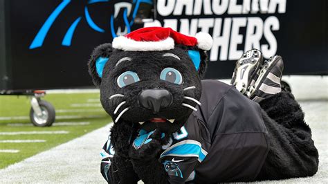 VIDEO: Remembering When the Carolina Panthers' Mascot Recovered a Punt During a Live NFL Game