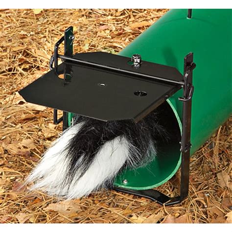 Spray - proof Skunk Trap - 175232, Traps & Trapping Supplies at ...