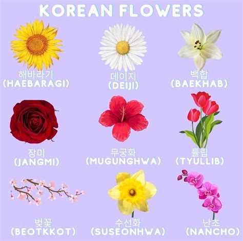 Learn flower names on Korean! Follow @maeil.korean.class on Instagram for more! Hair Up Styles ...