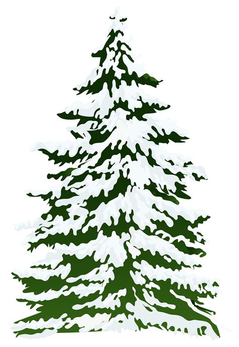 Pine Snow Tree Clip art - Winter Snowy Pine Tree PNG Clipart Image png ...