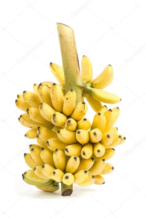 Banana bunch cluster — Stock Photo © happystock #42506967