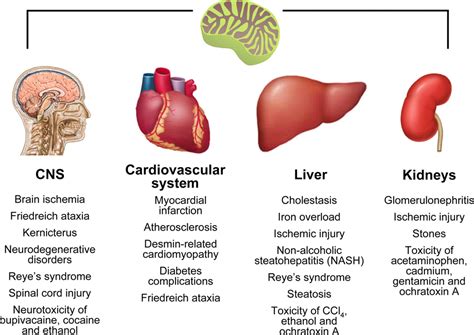 mitochondrial disease - DriverLayer Search Engine