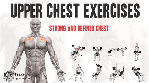 8 Best Upper Chest Exercises For A Stronger, Defined Chest