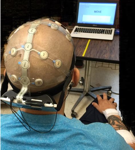 Experimental setup. EEG headset streamed neural data to the computer as ...