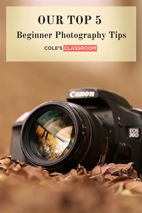 Our Top 5 Tips for Photography Beginners | Photography Tips | Digital photography backdrops ...