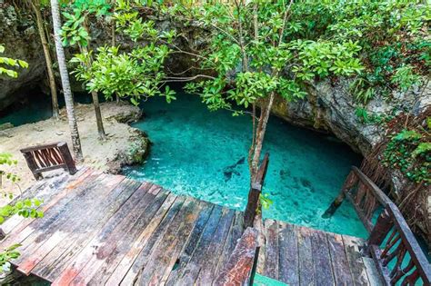 20 BEST Playa del Carmen Cenotes to Visit in 2024