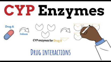 CYP450 Enzymes Drug Interactions MADE EASY in 5 MINS - YouTube