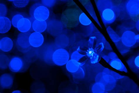 Blue Led Lights Free Stock Photo - Public Domain Pictures