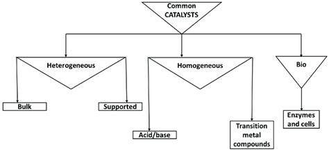 Common catalyst types with emphasis on heterogeneous and homogeneous... | Download Scientific ...