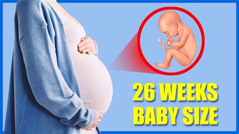 26 Weeks Pregnant Baby Position – Baby Movement and Development - YouTube