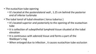 Anatomy of Nasopharynx and Eustachian Tube.pptx