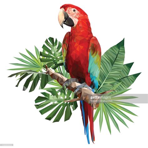Illustration polygonal drawing of green wing macaw bird with tropical ...