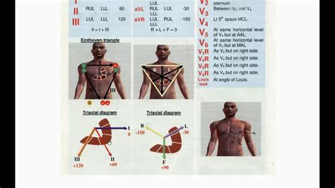 Basic ECG (Part 1) - YouTube