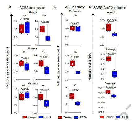 Occluding the ACE2 receptor, renders all mutants incapable of infection ...