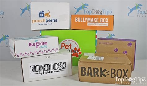 15 Best Dog Subscription Box Choices of 2020