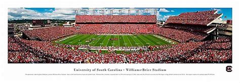 South Carolina Gamecocks Football Stadium Print - Upstate Tailgate, Inc.