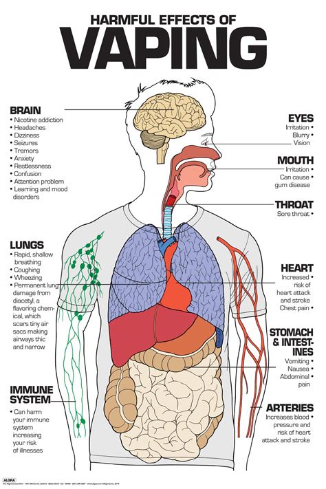 Buy Harmful Effects of Vaping Laminated (24" x 36") Online at desertcartKUWAIT