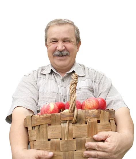 Harvesting a apple — Stock Photo © frenta #5792013