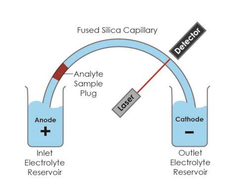 Capillary Electrophoresis - Atik Cameras