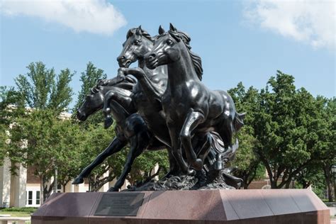 "SMU Mustangs," a 2005 sculpture by artist Miley Frost, on the campus ...