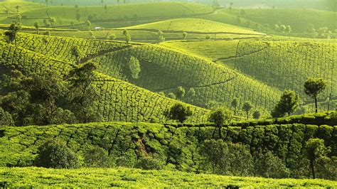 Munnar Wallpapers - Top Free Munnar Backgrounds - WallpaperAccess