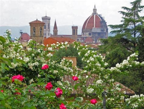 The Rose Garden near Piazzale Michelangelo - Florence Italy