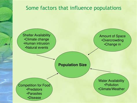 PPT - Ecosystems What effects do biotic and abiotic factors have on an ecosystem? PowerPoint ...