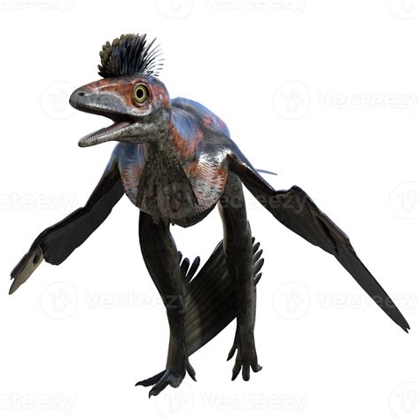 Microraptor dinosaur isolated on transparent 19923868 PNG