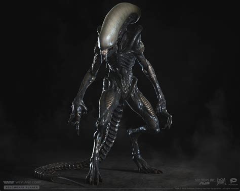 Xenomorph Runner This is a 3D Model we created based on the concept art ...